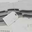 image of a work by Harold Hayes