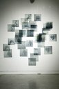 image of a work by Janet Laurence