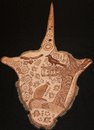 image of a work by Lynette Riley